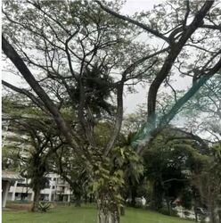 lorong-7-toa-payoh photo thumbnail #1